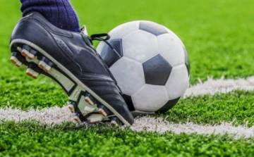 Elsöprő hazai győzelem