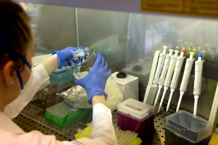 Az egyik amerikai gyógyszergyár októberre ígér vakcinát