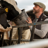 Állatgondozó tehenészeti telepre