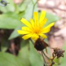 Jelzésfestés a Delta Turista Egyesülettel