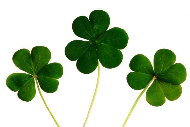 Több mint 10 milliárd forintot nyert egy magyar játékos az Eurojackpoton