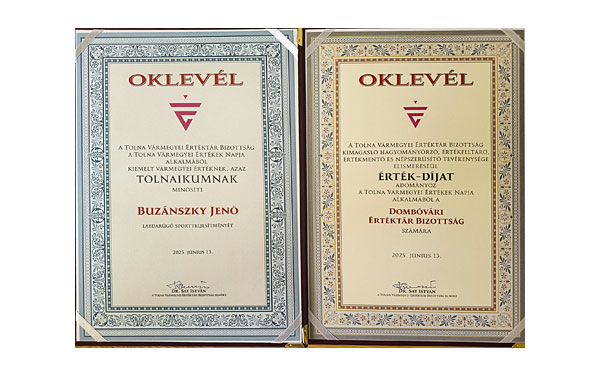 Dombóvári sikerek a Tolna Vármegyei Értékek Napján